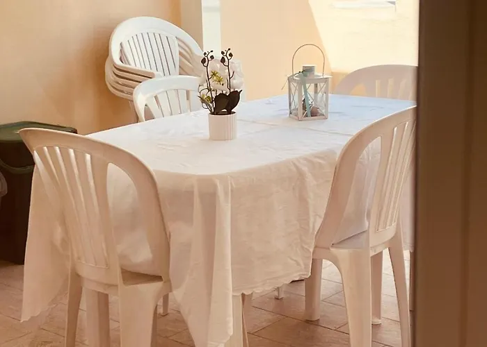 S'aneddu E Oro * 阿尔盖罗